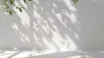Beautiful shadow from a window and tree leaves on a white wall. Simple minimalistic natural background for presentation.