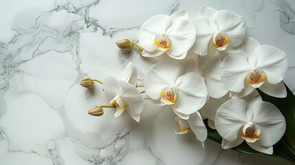   A white bouquet sits atop a marble counter, with a green plant positioned beside it on a marble slab