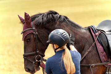 Rider woman in navy shirt and black helmet affectionately strokes dark bay horse's neck in field....