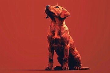 Dog seated on red background