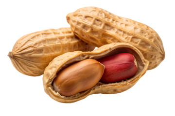 Peanut peeled and roasted with husk isolated on white background, AI GENERATAED