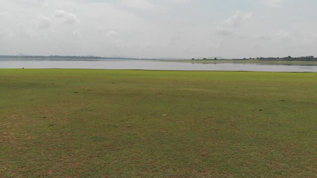 Meadows on the shores of Kabini River 
