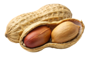 Peanut peeled and roasted with husk isolated on white background, AI GENERATAED