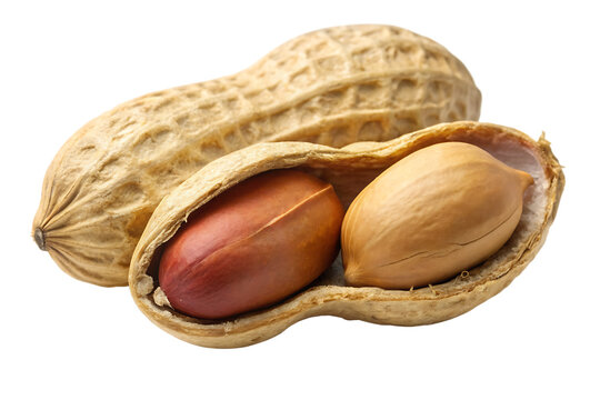 Peanut peeled and roasted with husk isolated on white background, AI GENERATAED