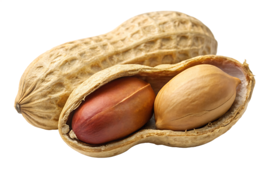 Peanut peeled and roasted with husk isolated on white background, AI GENERATAED