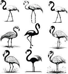 Flamingo Bird canvas