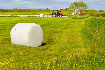 Bale of hay wrapped in plastic foil, Norway © Voyagerix