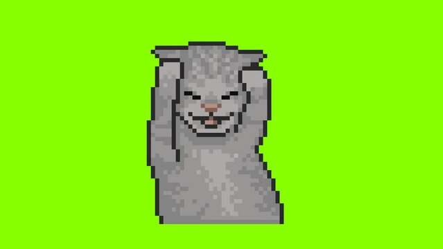 Stressed baby cat, pixel art animation