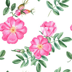 Dog rose Floral Watercolor seamless pattern. Hand drawn botanical illustration. Rose hip flowers, buds, branches and berries. Can be used for fabric, textile, packaging prints, wallpaper design.