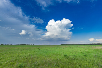 A vast open field stretches out beneath a clear blue sky, inviting a sense of freedom and...