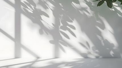 Beautiful shadow from a window and tree leaves on a white wall. Simple minimalistic natural background for presentation.