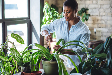 Relaxing leisure hobby concept, spring home gardening. Young African American housewife taking care...