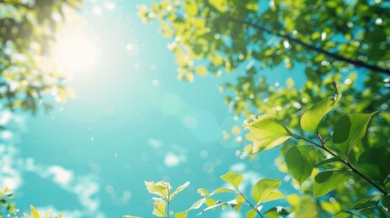 Clear sky and fresh foliage under the bright daytime sun