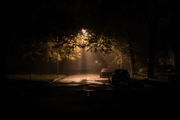 Mysterious night street with fog and streetlight