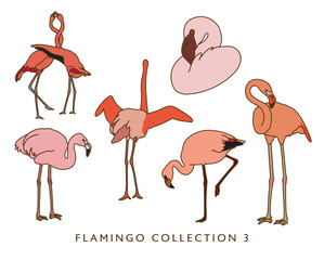 Flamingo Color Illustrations in Various Poses 3
