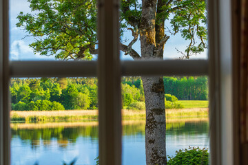 Beautiful view from the window of a house overlooking forest trees in the garden with a lake in the background on a sunny summer day. Sweden.