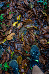 Autumn Walk Preparation - Feet Surrounded by Fallen Leaves