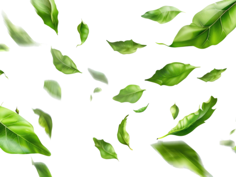 Green leaves flying movement cutout transparent background.