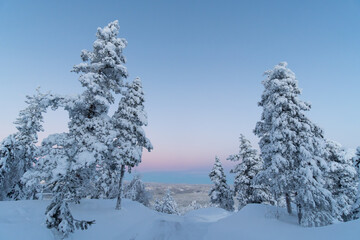 Small mountain road in the mountains during winter at sunset, pine trees on either side, snow