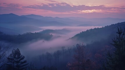 Foggy dawns in the Mountains