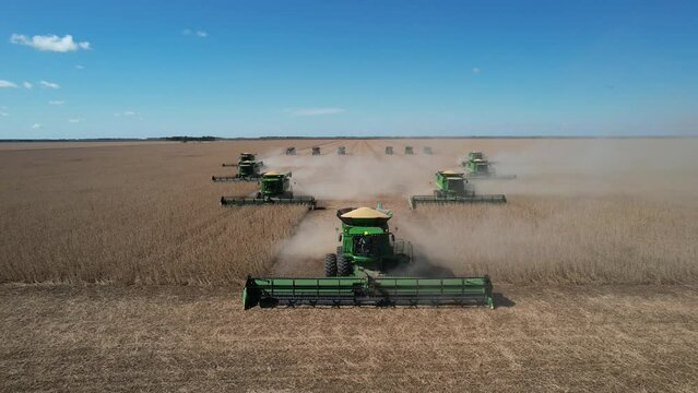 HARVESTERS LIFTING CORN FROM THE FIELD, AERIAL VIEW.  DRONE -ARGENTINA
