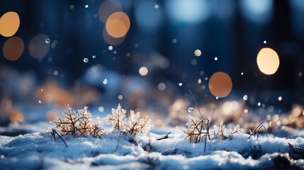 Beautiful ornamental snowflakes in the snow once more.
