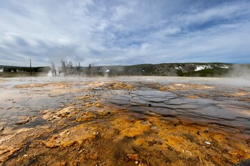 Hot geyser releasing steam near a forest