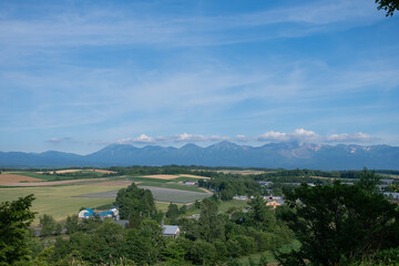 夏の緑の畑作地帯と山並み　十勝岳連峰
