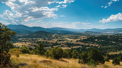 Fototapeta premium Scenic Vista from Hilltop