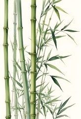 Beautiful Watercolor Bamboo Painting on White Background for Home Decor