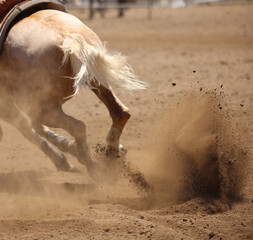 A horse kicking up dirt in a large format with room for text.