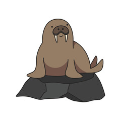Walrus illustration