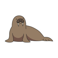 Walrus illustration