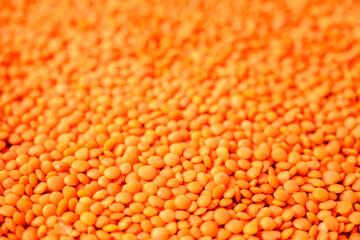 Many red lentils