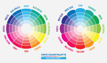 Set of name color in cmyk palette diagram, isolated. 3D Illustration