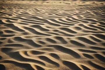 Obraz premium sand ripples in the sand