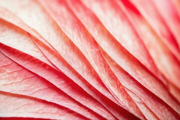 Bcakground and Texture