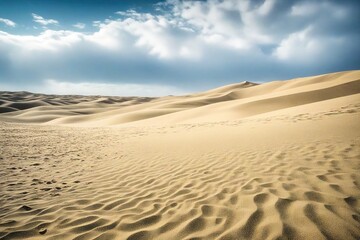 sand dunes in the desert