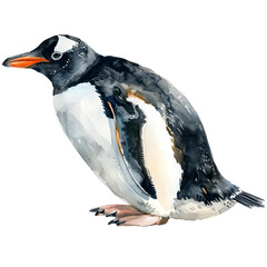 Penguinon_a_white_background_watercolor_hand_drawing