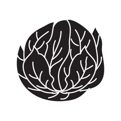 Fresh cabbage vector flat black illustration on white background..eps