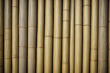 bamboo background