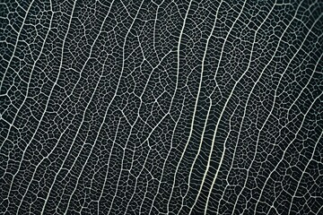 Naklejka premium leather background