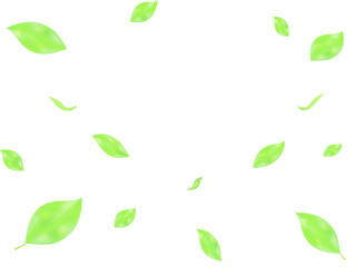 新緑の葉っぱが舞う背景素材