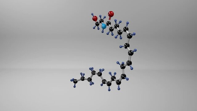 Anandamide molecule. Molecular structure of neurotransmitter, vasodilator agent and a human blood serum metabolite which interact with endocannabinoid receptors in the body to reduce inflammation.