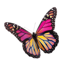 Fototapeta premium beautiful wings of a butterfly isolated on white background