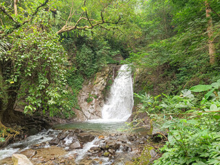 waterfall in the forest.