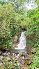 waterfall in the forest.