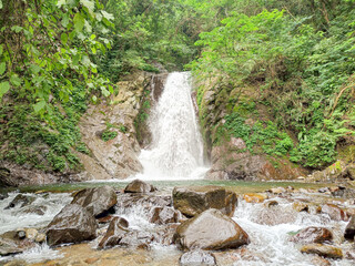 waterfall in the forest.