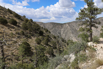 View from Guadalupe Peak Trail at Guadalupe Mountains National Park, Texas