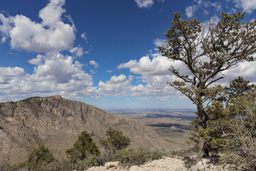 View from Guadalupe Peak Trail at Guadalupe Mountains National Park, Texas